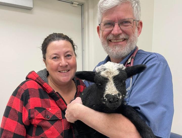 Farm Vet Large Animal Veterinary